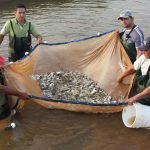 Yacyretá entregó alevines a piscicultores de Nueva Alborada