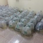 Desarrollan piscicultura como rubro alternativo en Caazapá