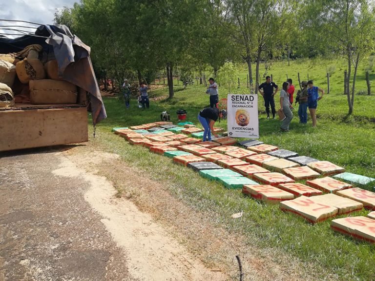 Más de 1700 kilos de marihuana incautó la SENAD en Itapúa