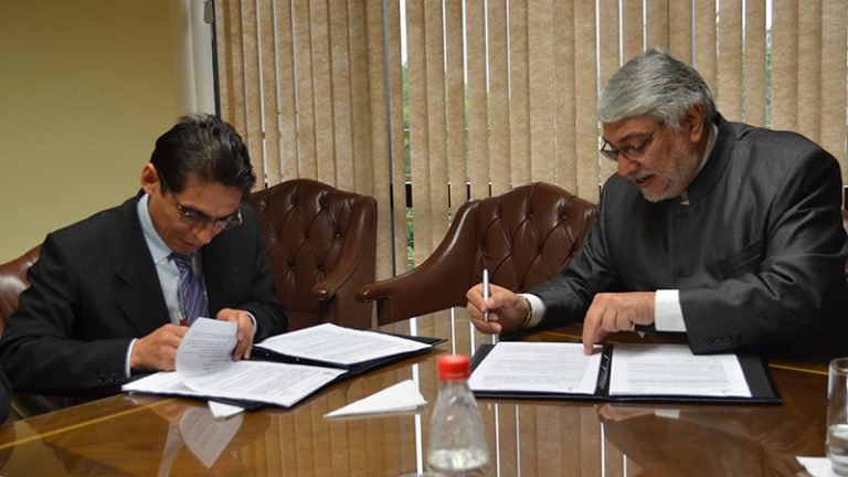 Senado incorporará el idioma guaraní en documentos e informaciones oficiales