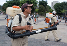 Expertos de OMS recomiendan declarar a Paraguay “país libre de malaria”