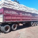 Prosigue Programa Algodonero en Itapúa