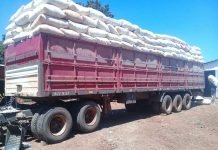 Prosigue Programa Algodonero en Itapúa