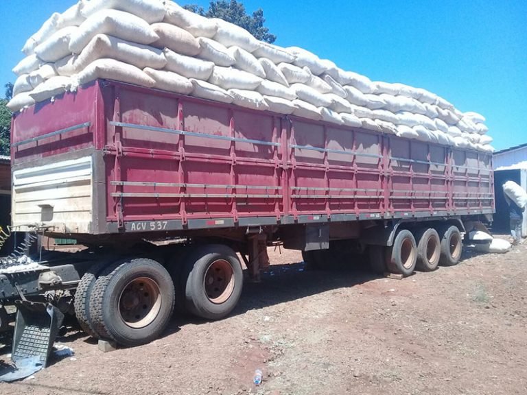 Prosigue Programa Algodonero en Itapúa
