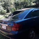 Habrían quemado vehículo intencionalmente