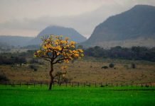 Concurso internacional para publicaciones periodísticas sobre la vida silvestre y el turismo sostenible