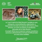 SEAM reitera sanciones y multas vigentes ante omisión de normativas ambientales