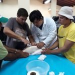 Exitosa reproducción de salmón en estación de piscicultura de la EBY