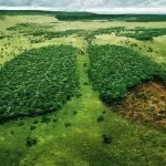 La naturaleza está en “números rojos” para asegurar el bienestar humano