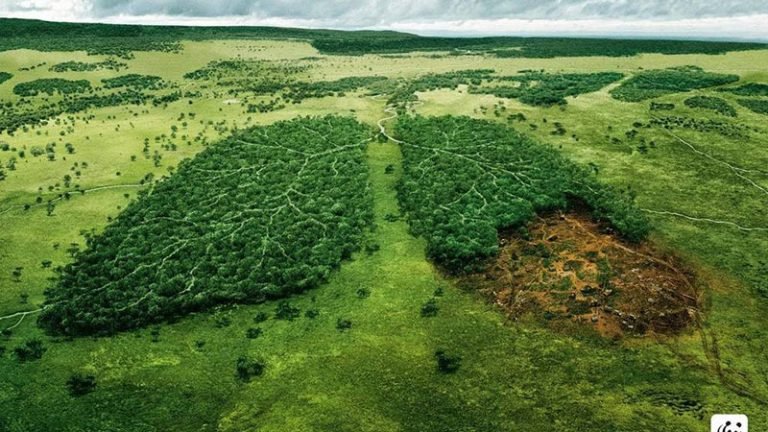 La naturaleza está en “números rojos” para asegurar el bienestar humano