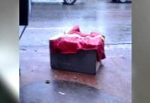 Efectivos de la Comisaría 1ra. frustra millonario hurto