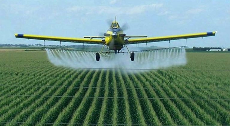 La FAO alerta del creciente problema que supone la contaminación del suelo La FAO alerta del creciente problema que supone la contaminación del suelo