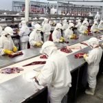 Funcionarios muestran preocupación por problemática de Frigorífico Concepción