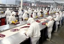 Funcionarios muestran preocupación por problemática de Frigorífico Concepción