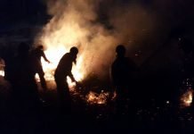 Bomberos controlan incendio en Área de Reserva San Rafael