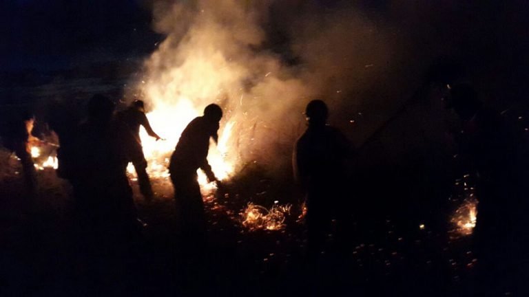 Bomberos controlan incendio en Área de Reserva San Rafael