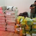 Incineran 1480 kilos de marihuana incautadas con antelación