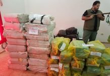 Incineran 1480 kilos de marihuana incautadas con antelación