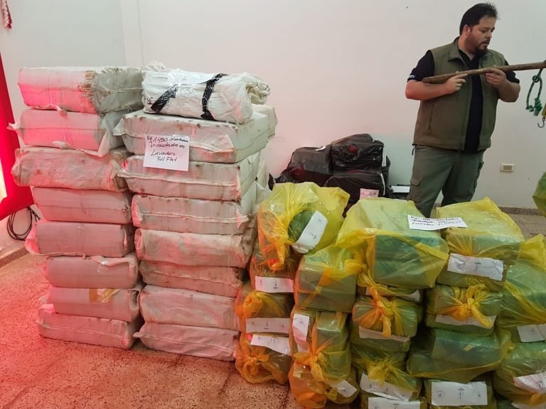 Incineran 1480 kilos de marihuana incautadas con antelación
