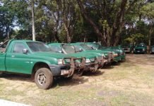 ANDE lleva a remate 69 vehículos en desuso