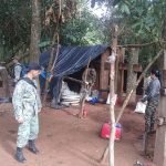 SENAD destruyó base de producción de cannabis en Yby Yaú