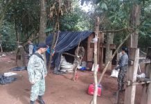 SENAD destruyó base de producción de cannabis en Yby Yaú