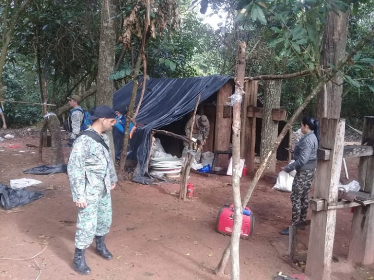 SENAD destruyó base de producción de cannabis en Yby Yaú