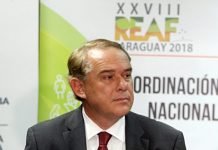 Restos de Gneiting parten desde Asunción