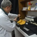 Posibles propiedades del ñuati pytâ como medicina alternativa para hipertensos