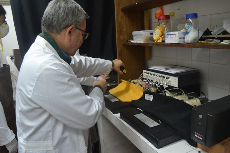 Posibles propiedades del ñuati pytâ como medicina alternativa para hipertensos