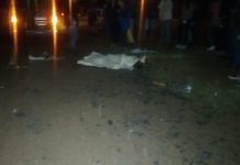 Motociclista fallece tras impactar contra una patrullera