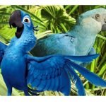 Declaran extinto en su hábitat al guacamayo azul que inspiró la película Río