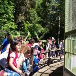 Promueven visitas didácticas al Refugio Faunístico Atinguy