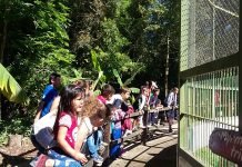 Promueven visitas didácticas al Refugio Faunístico Atinguy