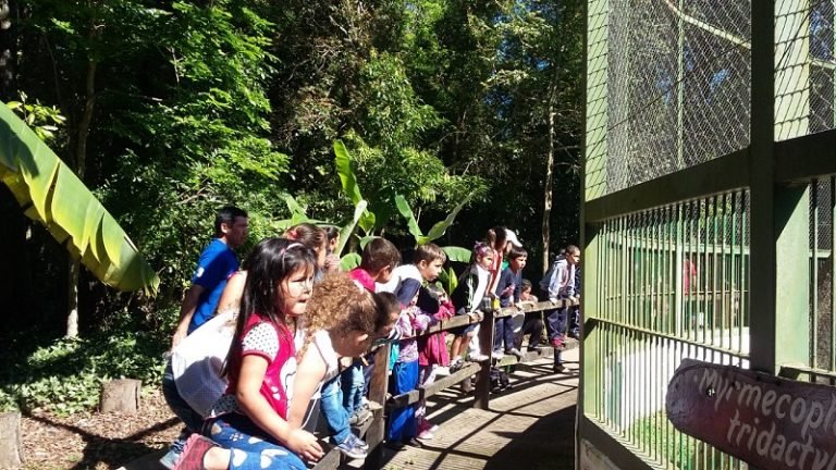 Promueven visitas didácticas al Refugio Faunístico Atinguy