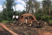 Ciudad del Este: Ordenan detención de cuatro brasileños por delitos ambientales