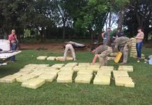 Inteligencia de SENAD propicia caída de más de 1000 kg. de marihuana en Itapúa