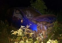 Menor esquivó un gato, perdió el control del auto y volcó