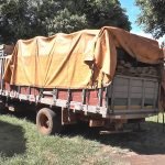 Incautaron maderas presumiblemente aserradas de árboles nativos