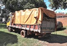 Incautaron maderas presumiblemente aserradas de árboles nativos