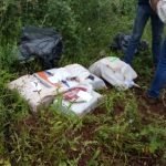 Hallaron marihuana en Cambyreta