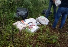 Hallaron marihuana en Cambyreta