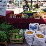 Proyecto rural beneficia a unas 7.000 familias indígenas