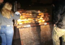 Policía y UFEDA incautan maderas aserradas de árboles nativos