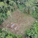 Marihuaneros siguen depredando el Parque Nacional de Caazapá
