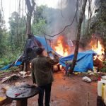 Ca’azapá: SENAD y MADES detectan gran deforestación para cultivo de marihuana