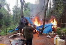 Ca’azapá: SENAD y MADES detectan gran deforestación para cultivo de marihuana