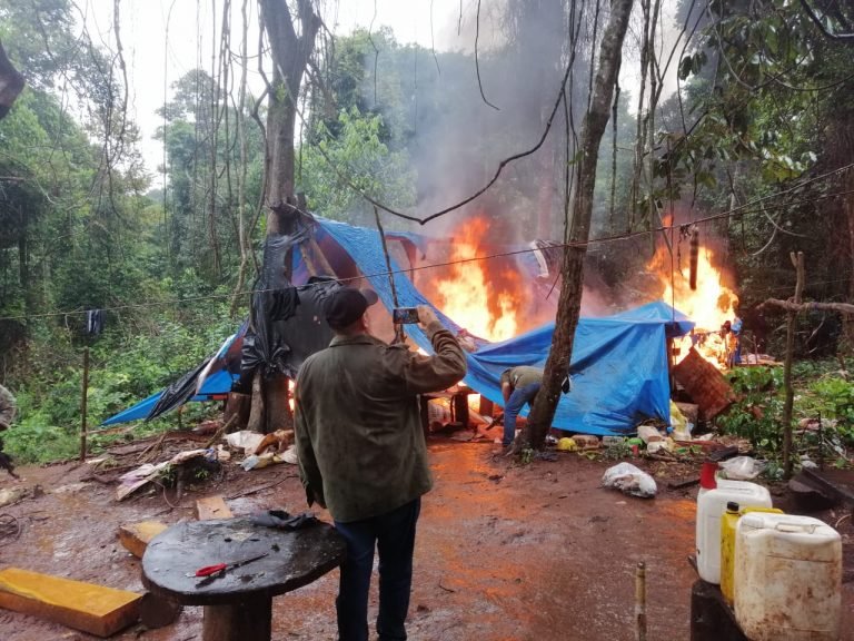 Ca’azapá: SENAD y MADES detectan gran deforestación para cultivo de marihuana