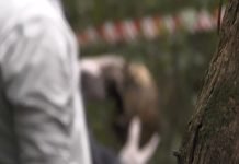 Hallan restos óseos en zona boscosa de Encarnación