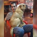 Hallan muerto a sospechoso de homicidio